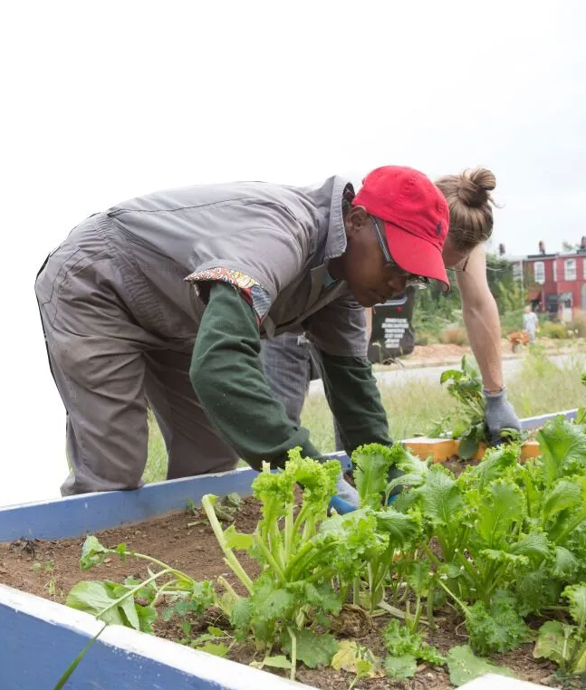 Vacant Land Online Resource Center